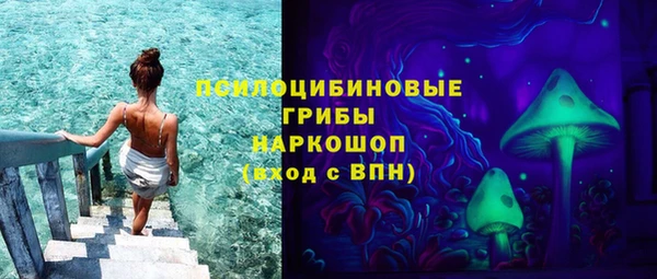 ГАЛЛЮЦИНОГЕННЫЕ ГРИБЫ Абинск