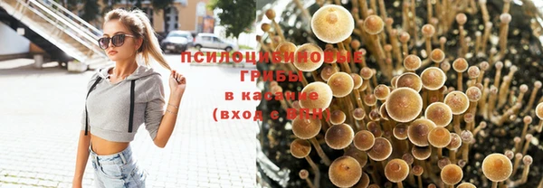 ГАЛЛЮЦИНОГЕННЫЕ ГРИБЫ Абинск