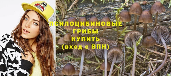 apvp Абдулино