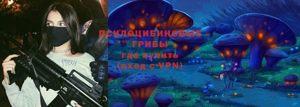 а пвп мука Алзамай