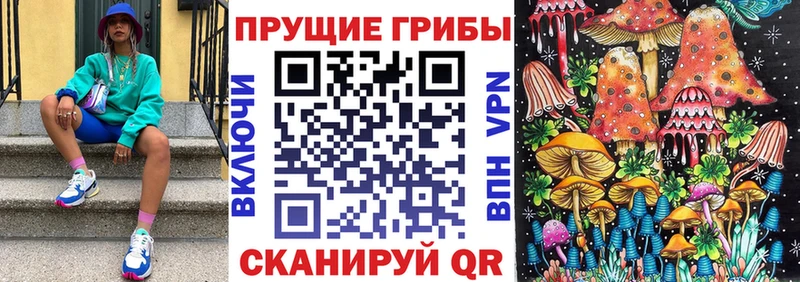 blacksprut ONION  маркетплейс телеграм  Галлюциногенные грибы MAGIC MUSHROOMS  Моршанск 