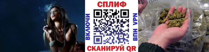Бошки марихуана ГИДРОПОН  Моршанск 